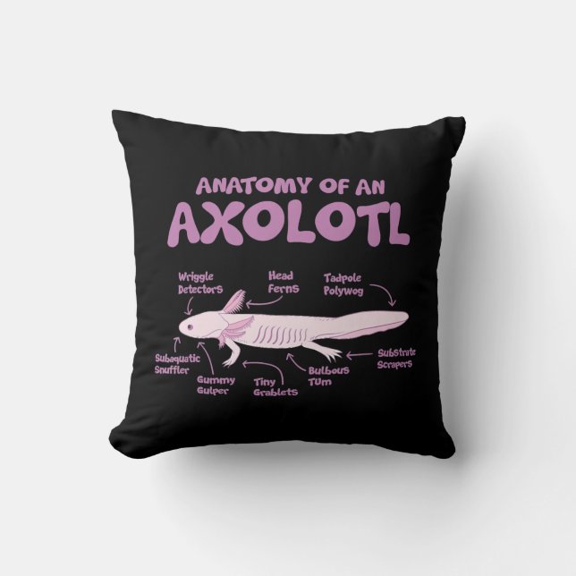 Coussin anatomie d'un axolotl axolotls biologie science . (Recto)