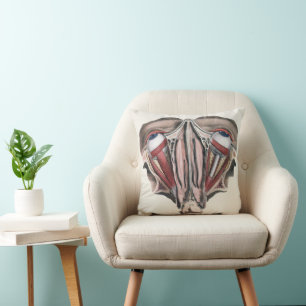 Coussin Anatomie humaine vintage Science, globes oculaires