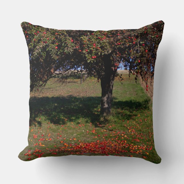Coussin Ancien arbre à pomme (Recto)