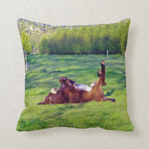 Coussin âne sur son dos