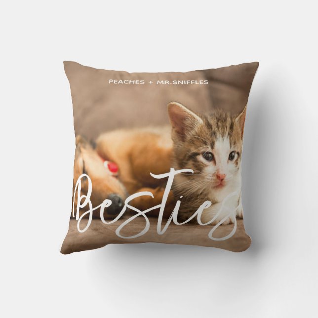 Coussin Animaux Amis Chien Papa Chat Maman Cadeau BFF Beso (Verso)