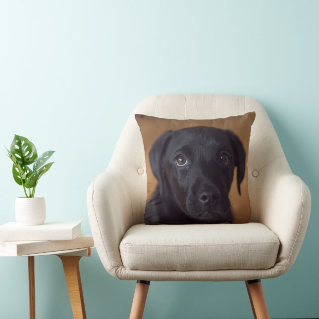 Coussin Animaux de bébés cutest | Black Labrador Puppy (Chaise)