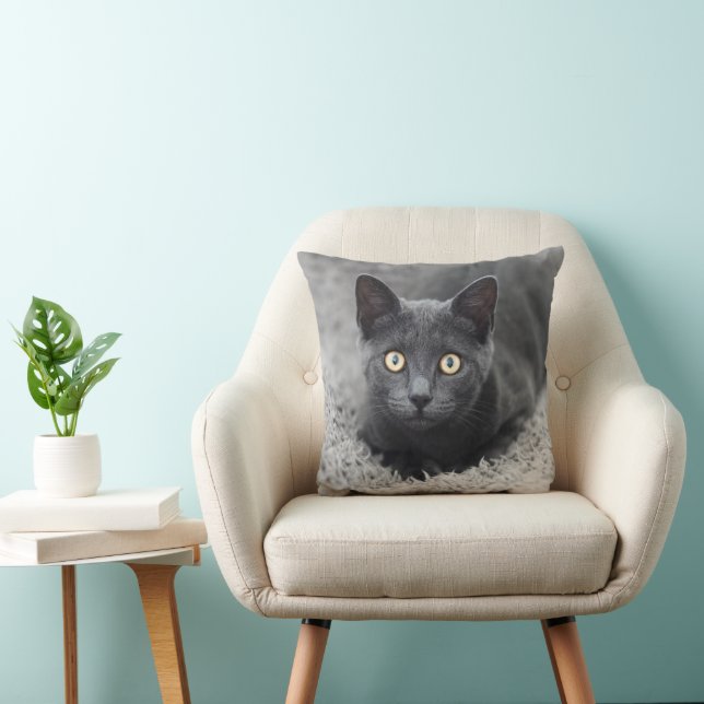 Coussin Animaux de bébés cutest | Chat gris (Chaise)