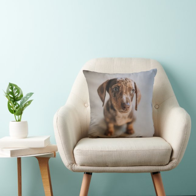 Coussin Animaux de bébés cutest | Chiot Brown (Chaise)