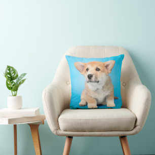 Coussin Animaux de bébés cutest Chiot de Corgi en bleu