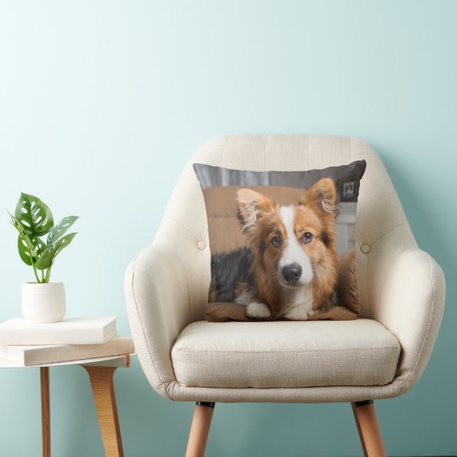 Coussin Animaux de bébés cutest | Coiffeuse à cheveux long (Chaise)