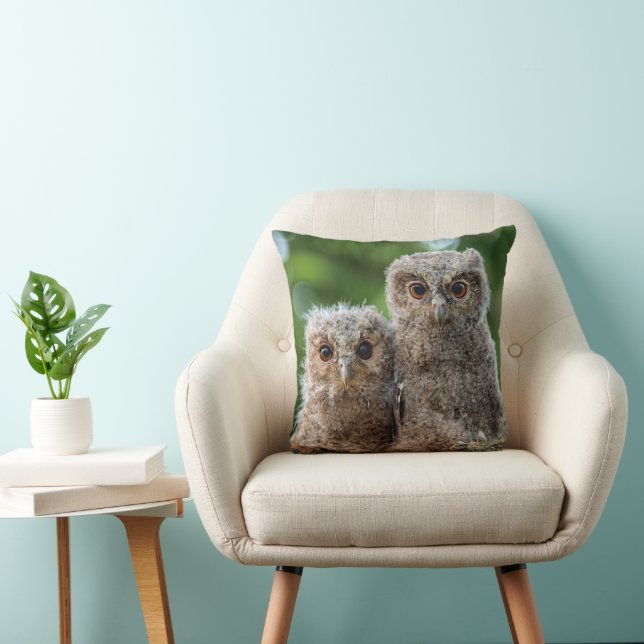 Coussin Animaux de bébés cutest | Deux jeunes hiboux (Chaise)