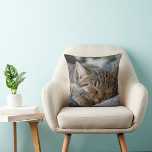 Coussin Animaux de bébés cutest   Tabby Kitten Sommeil