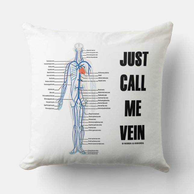 Coussin Appelez-moi simplement Vein Venous System Circulat (Recto)