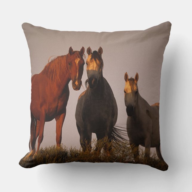 Coussin Arabes au coucher du soleil (Recto)