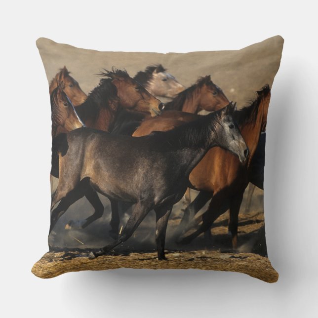 Coussin Arabes courant dans le désert (Recto)