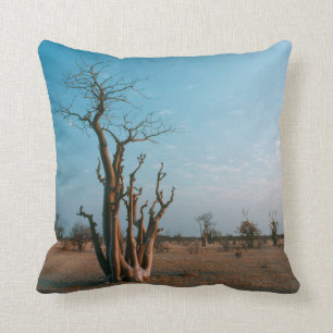 Coussin Arbre Moringo Africain Sur La Plaine, National D'E