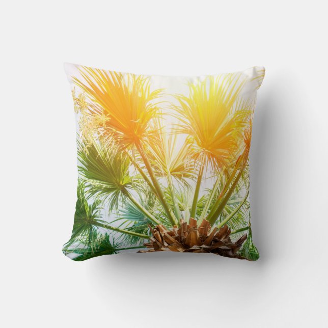Coussin Arbre palmier soleil brillant arrière - plan d'été (Recto)