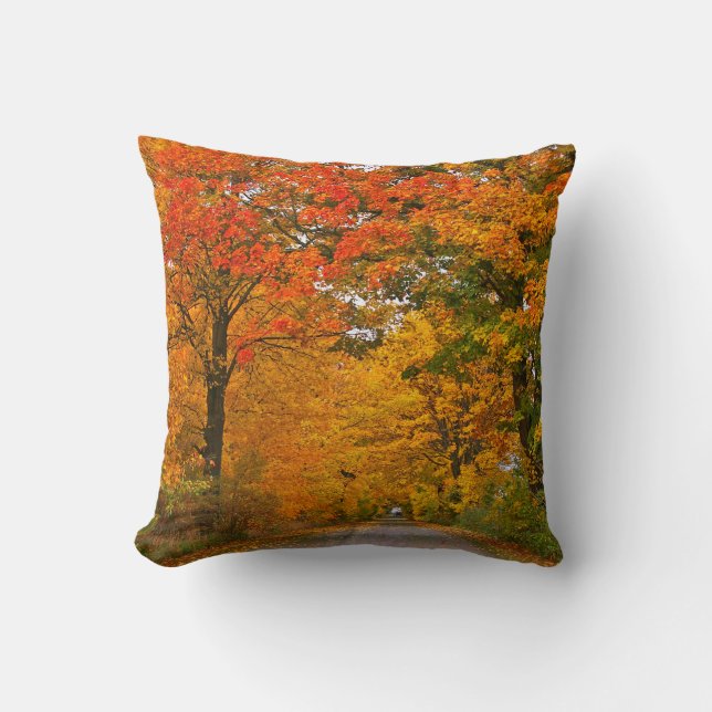 Coussin Arbres colorés d'automne (Recto)