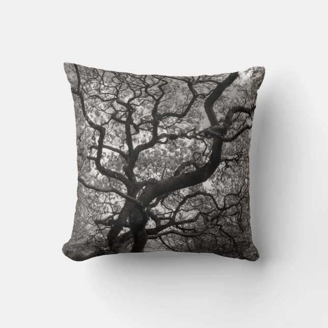 Coussin Arbres de Magnolia en fleurs 03 (Recto)