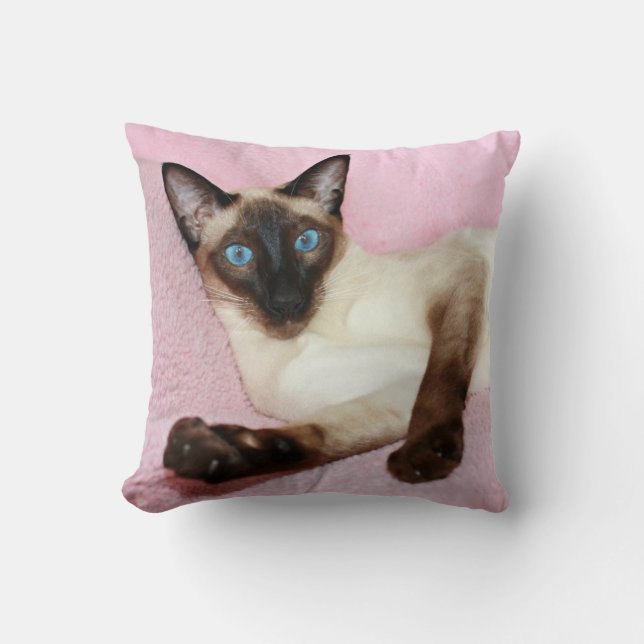 Coussin Arrière - plan de rose de chat siamois (Recto)