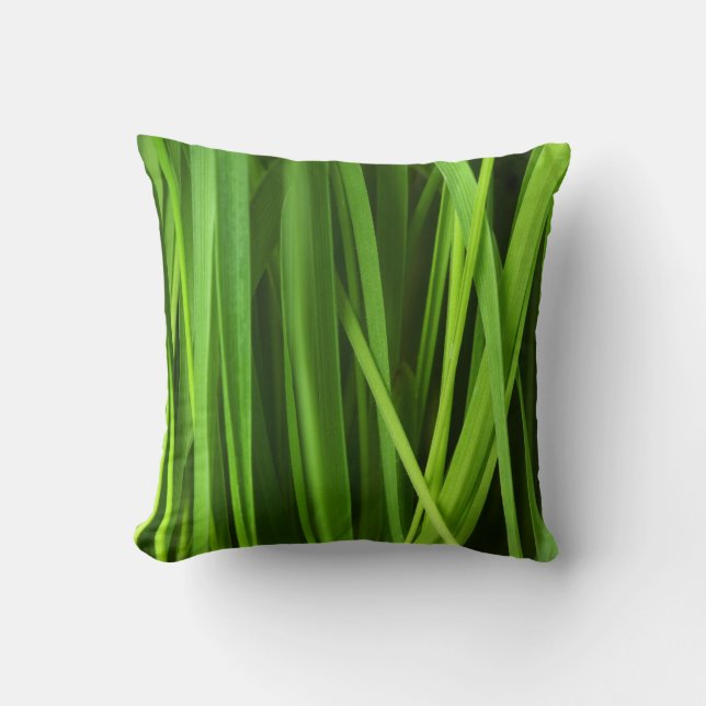 Coussin Arrière - plan vert (Recto)