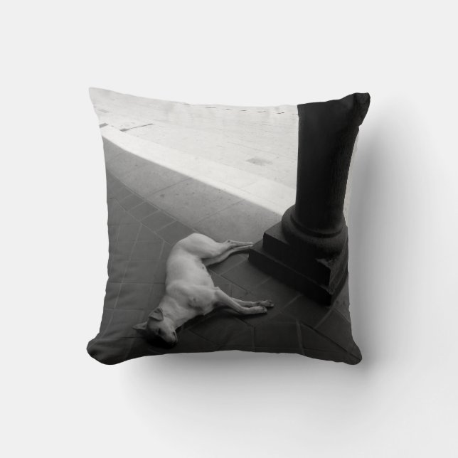 Coussin Art original : "une sieste paisible à l'ombre" (Recto)