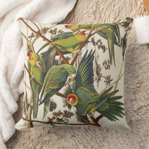 Coussin Art Vintage d'Audubon représentant le Perroquet de