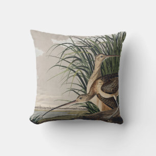 Coussin Art Vintage d'Oiseau Courlis à Long Bec d'Audubon