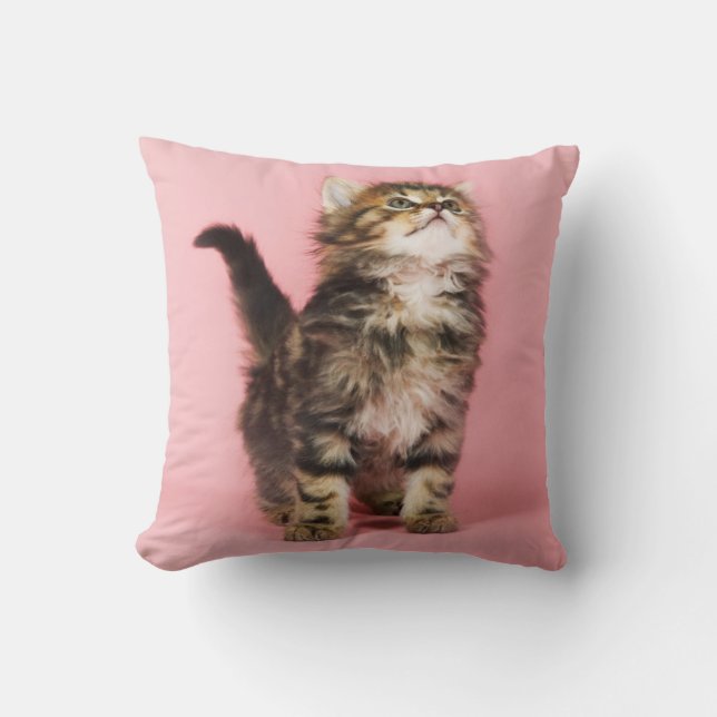 Coussin Assez dans le chaton rose (Recto)