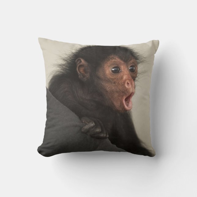 Coussin Ateles paniscus à tête rouge) (Recto)