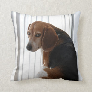 Coussin attitude de beagle