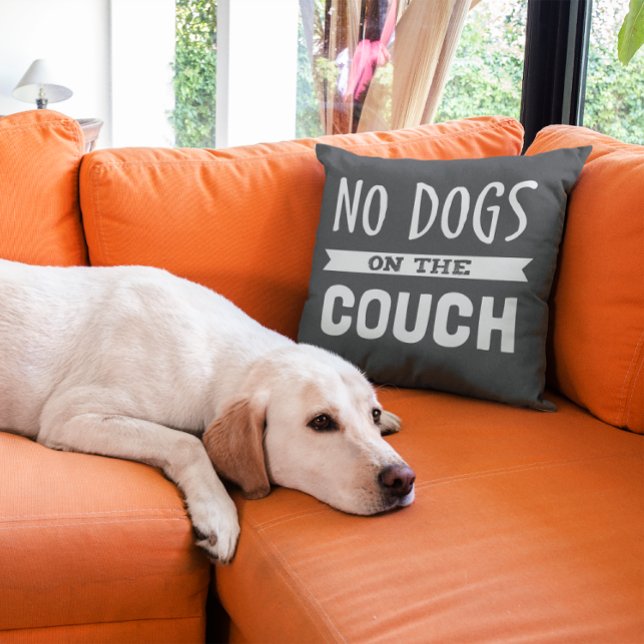 Coussin Aucun chien sur le canapé | Humoristique (Créateur téléchargé)