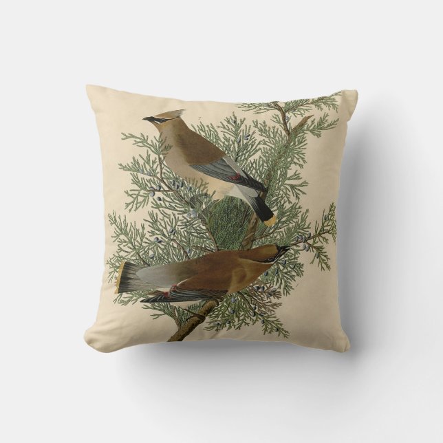 Coussin Audubon Cèdre cire oiseau (Recto)