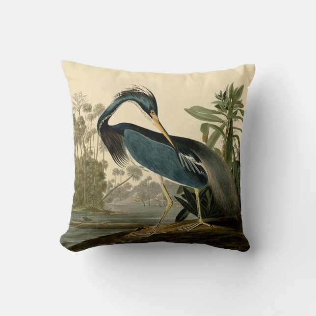 Coussin Audubon Louisiana Heron Birds America Art (Recto)