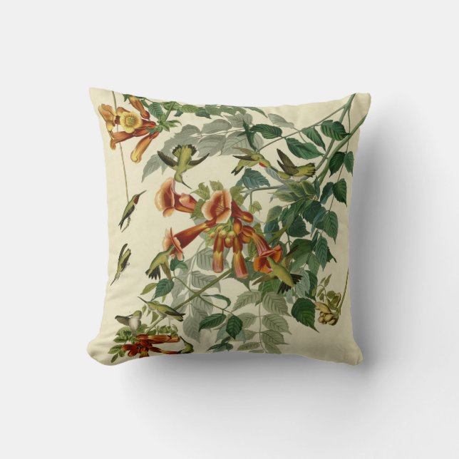 Coussin Audubon Throsé de colibri (Recto)
