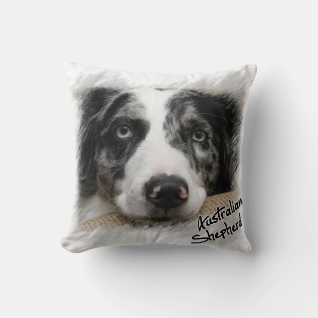 Coussin australien de berger (Recto)