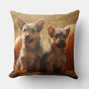 Coussin Australien Terrier Chiot Automne Citrouille de pla