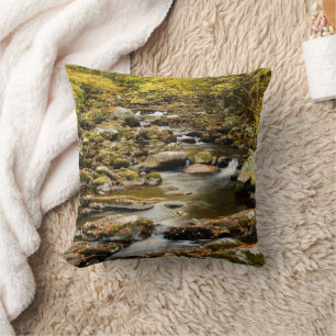 Coussin Automne à Big Creek