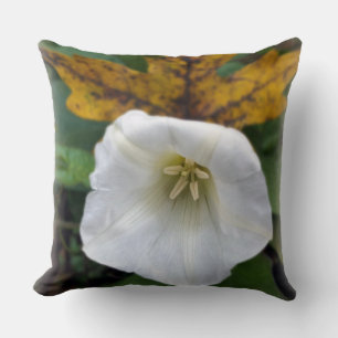 Coussin automne après été