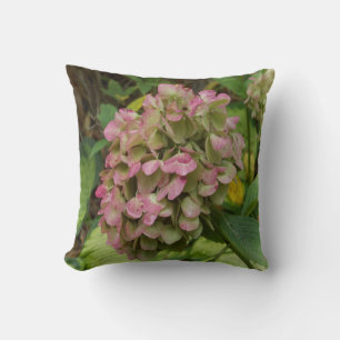 Coussin Autumn Hydrangea Bloom avec Golden Hosta Feuilles