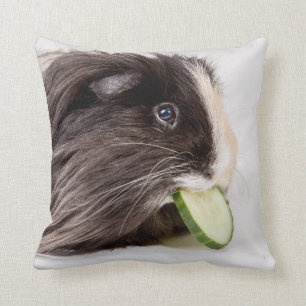 Coussin avec le cobaye mignon mangeant le