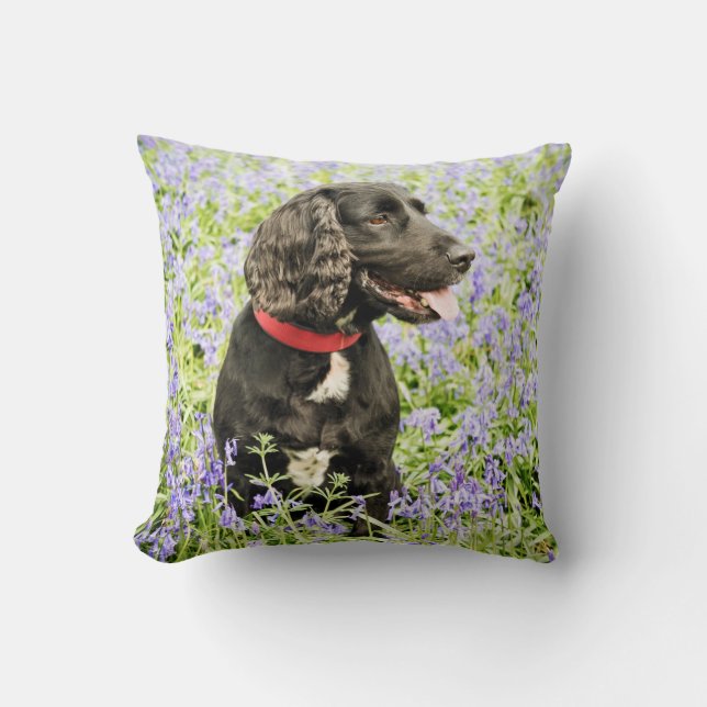 coussin avec l'épagneul noir dans les jacinthes (Recto)