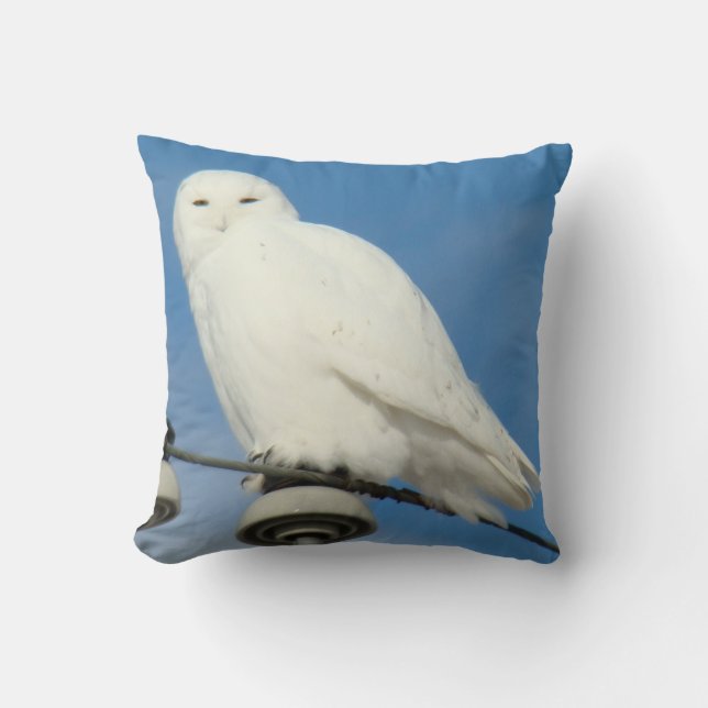 Coussin B50 Harfang des neiges (Recto)