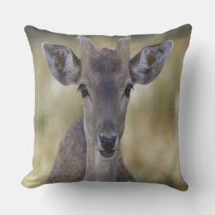 Coussin Baby Fawn Buck