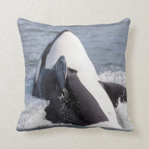 Coussin Baleine d'Orca