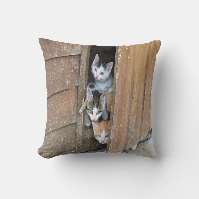 Coussin Barnyard Kittens (Recto)