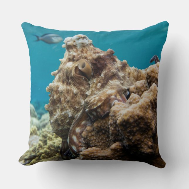 Coussin Barrière de corail de poulpe bleu (Recto)