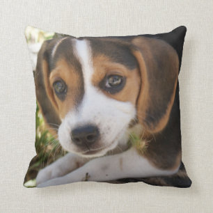 Coussin Beagle Chien Chien Chien Chien Chien Chien Chien C
