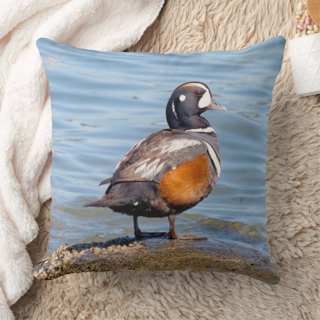 Coussin Beau canard arlequin sur la plage (Couverture)
