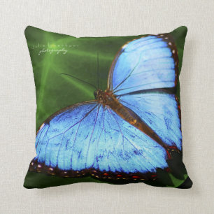 Coussin Beau carreau bleu de papillon