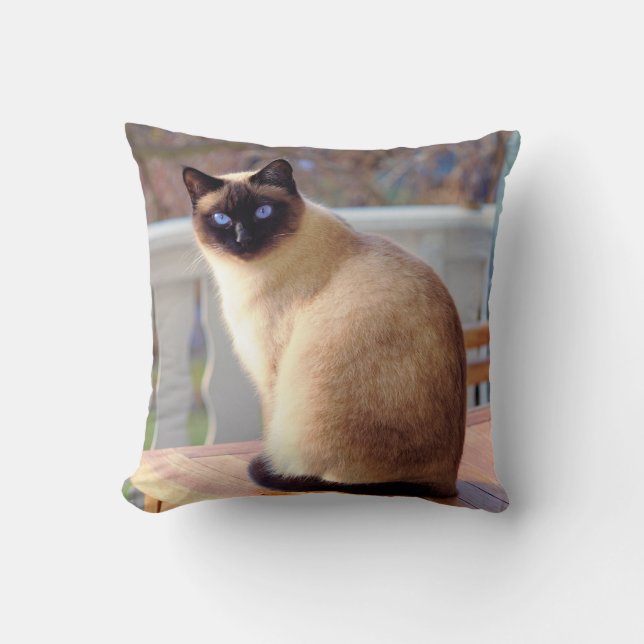 Coussin Beau chat siamois aux yeux bleus (Recto)
