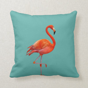 Coussin Beau Flamant Rose Corail sur Teal