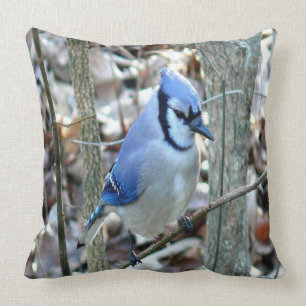 Coussin Beau geai bleu