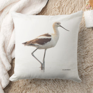 Coussin Beau oiseau américain Avocet à flâner sur la plage